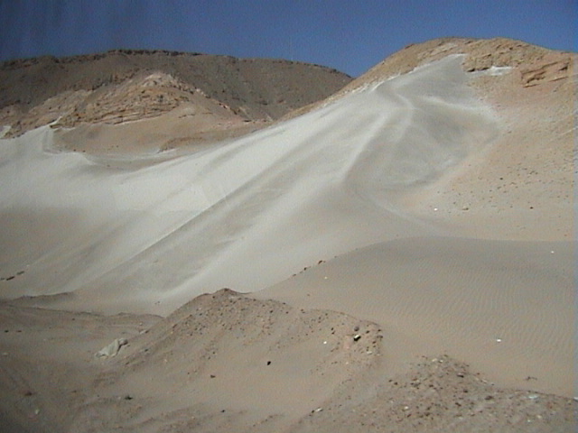 DSC00439