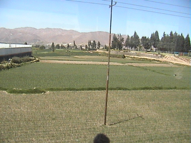 DSC00440