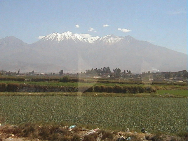 DSC00443
