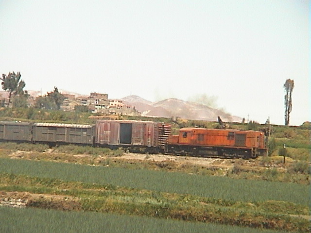 DSC00447