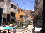 DSC00535