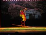 Beijing_05_Acrobatic_Show_009.jpg