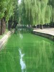 Beijing_05_Beijing_Zoo_043.jpg