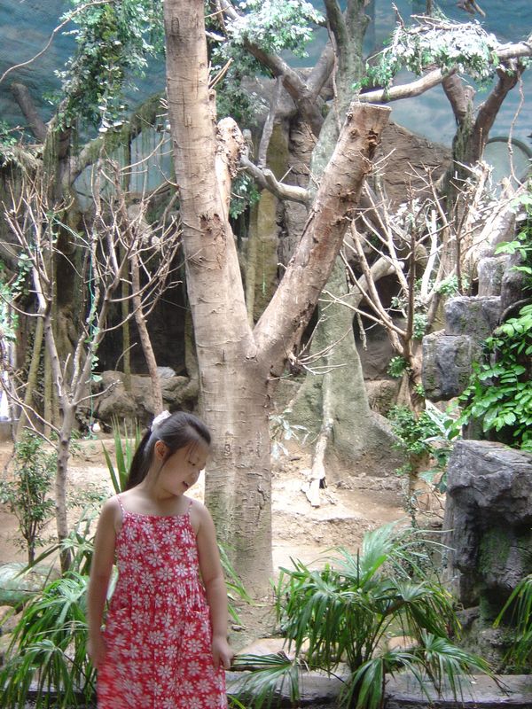 Beijing_05_Beijing_Zoo_045.jpg