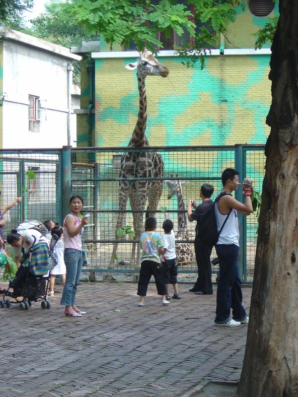 Beijing_05_Beijing_Zoo_051.jpg