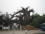 Beijing_05_City_People_101.jpg