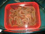 Beijing_05_Food_026.jpg