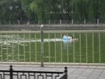 Beijing_05_Hutong_028.jpg