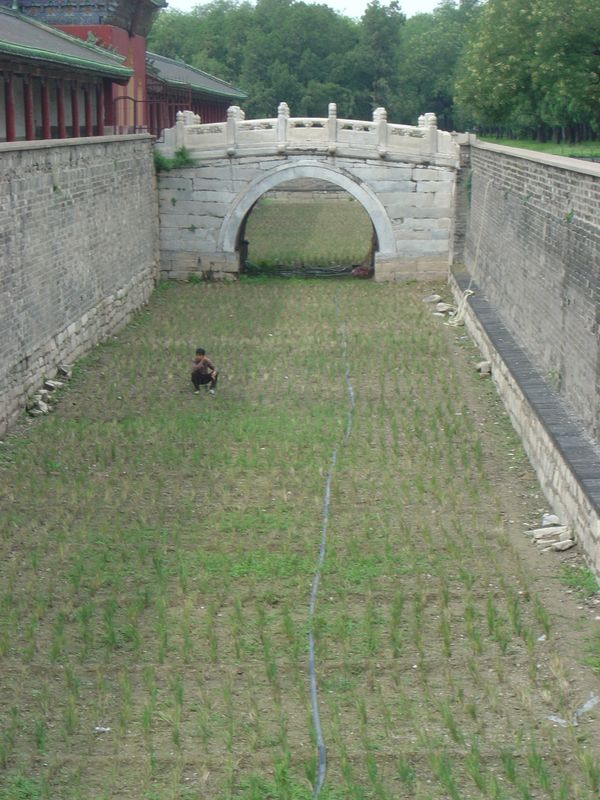Beijing_05_Temple_of_Heaven_015.jpg