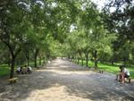 Beijing_05_Temple_of_Heaven_022.jpg