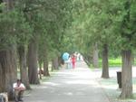 Beijing_05_Temple_of_Heaven_038.jpg