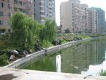 Beijing_05_City_People_083.jpg
