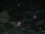 Xi_an_05_City_People_039.jpg