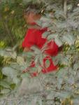 Xi_an_05_On_the_Road_011.jpg