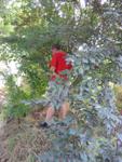Xi_an_05_On_the_Road_012.jpg