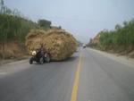 Xi_an_05_On_the_Road_016.jpg