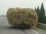 Xi_an_05_On_the_Road_048.jpg