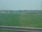 Xi_an_05_On_the_Road_059.jpg