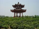 Xi_an_05_Wild_Goose_Pagoda_013.jpg