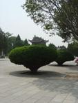 Xi_an_05_Wild_Goose_Pagoda_015.jpg