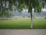 Zhengzhou_05_Longmen_Grottoes_004.jpg