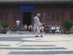Zhengzhou_05_Royal_Street_of_Song_Dynasty_019.jpg