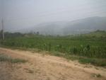 Zhengzhou_05_Train_to_Zhengzhou_020.jpg