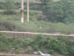 Zhengzhou_05_Train_to_Zhengzhou_034.jpg