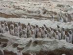 Xi_an_05_Terra_Cotta_Warriors_028.jpg