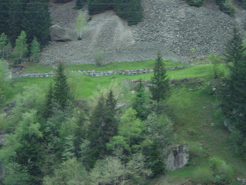 DSC02870