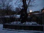 DSC1100005