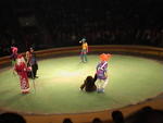 Circus

