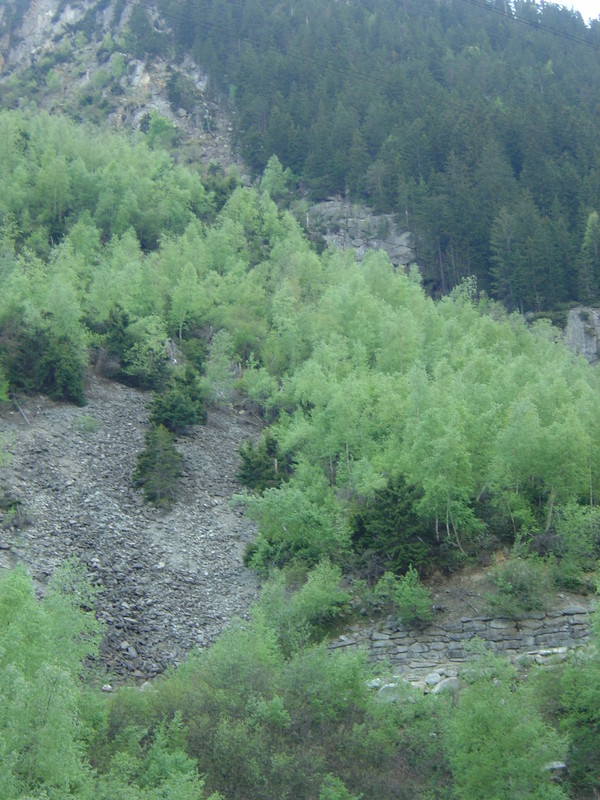 DSC02874