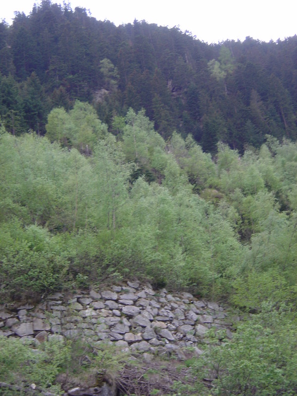DSC02876