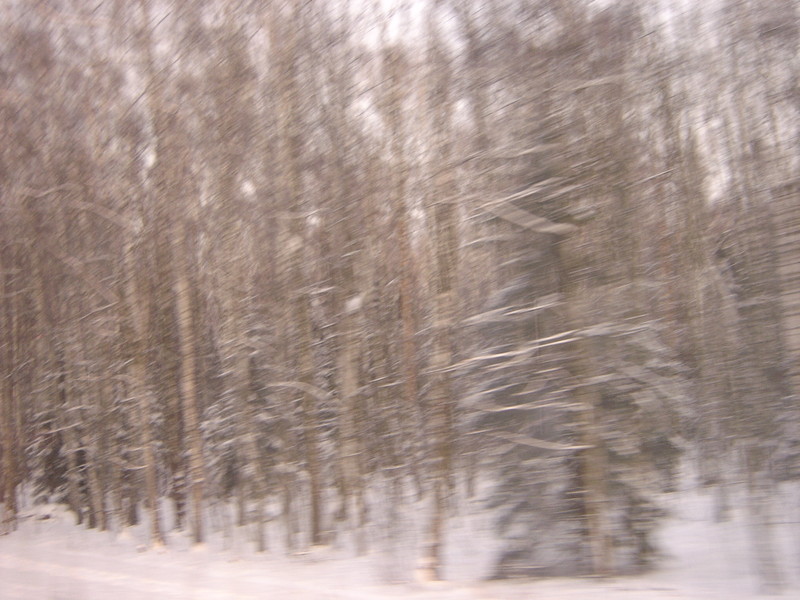 DSC92024Russia Zugsfahrt