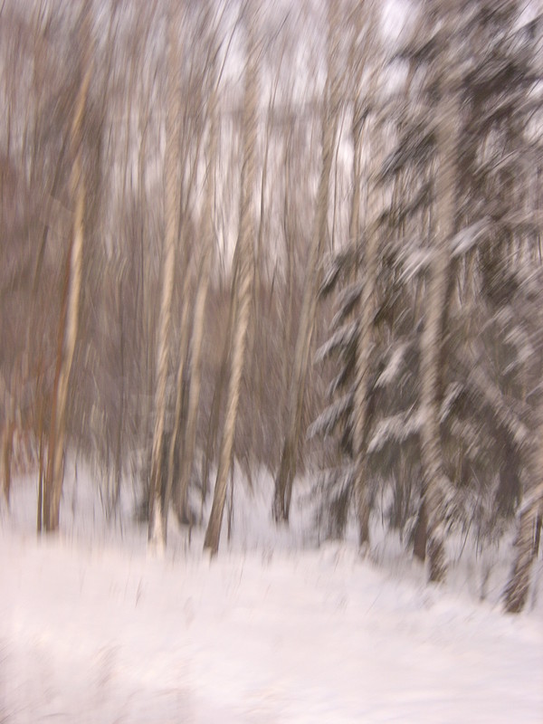 DSC92027Russia Zugsfahrt