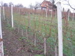 DSC05829.jpg