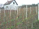 DSC05830.jpg