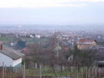 DSC05833.jpg
