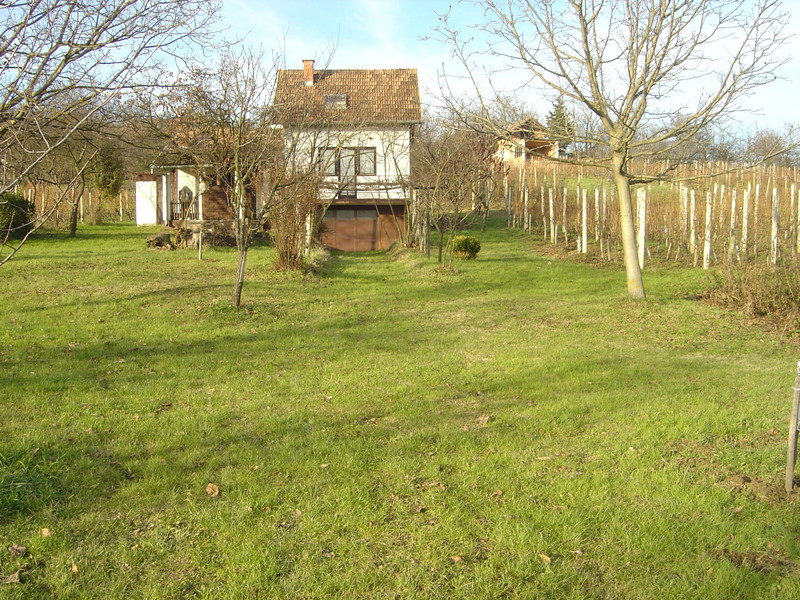 DSC05945.jpg