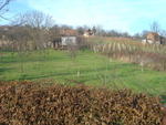 DSC05946.jpg