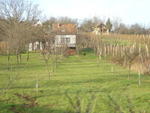 DSC05947.jpg