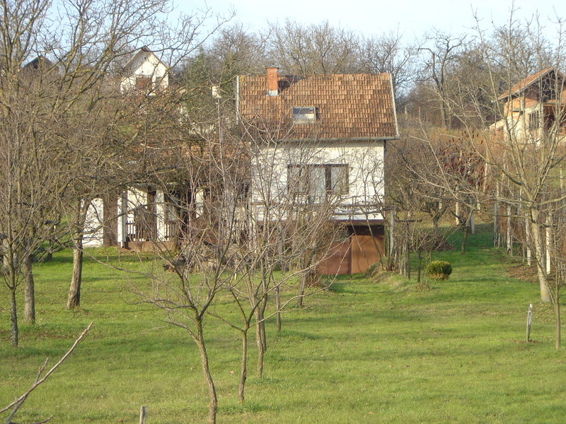 DSC05948.jpg