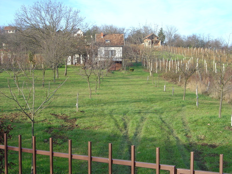 DSC05949.jpg