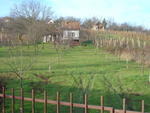 DSC05949.jpg