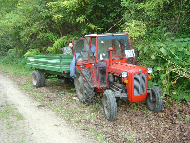 Dida-09.JPG