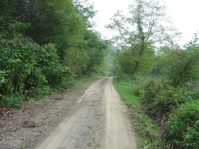 Dida-12.JPG
