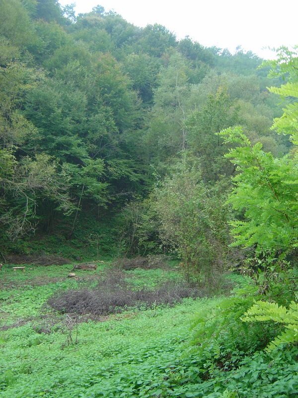 Dida-14.JPG