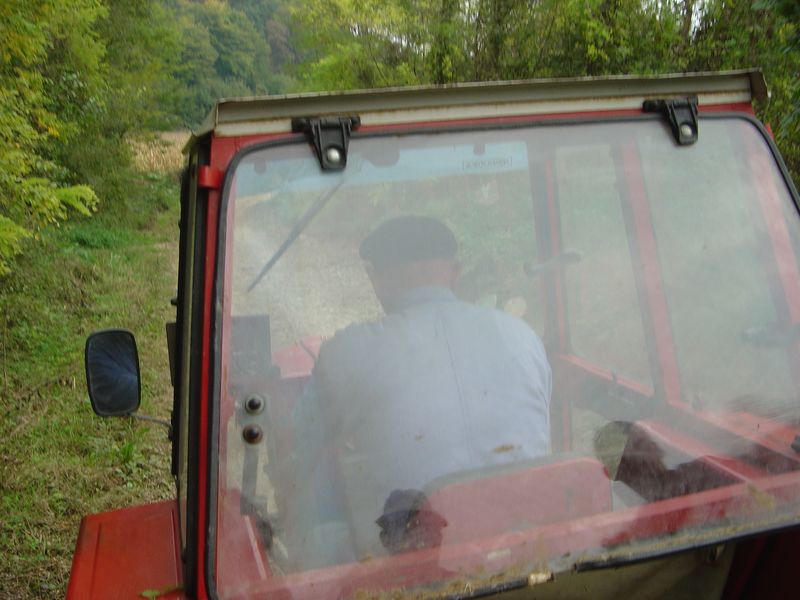 Dida-27.JPG