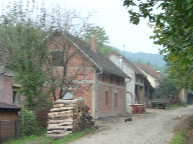 Dida-31.JPG